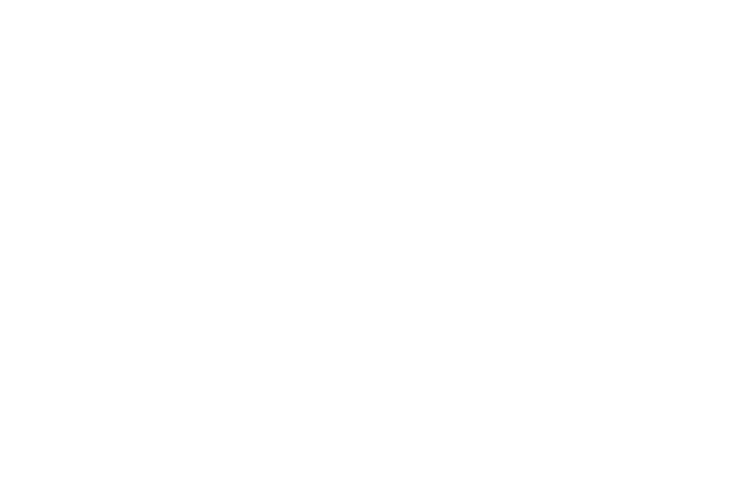 syv logo white transparent